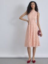 Blush Lace Panelled Midi Dress