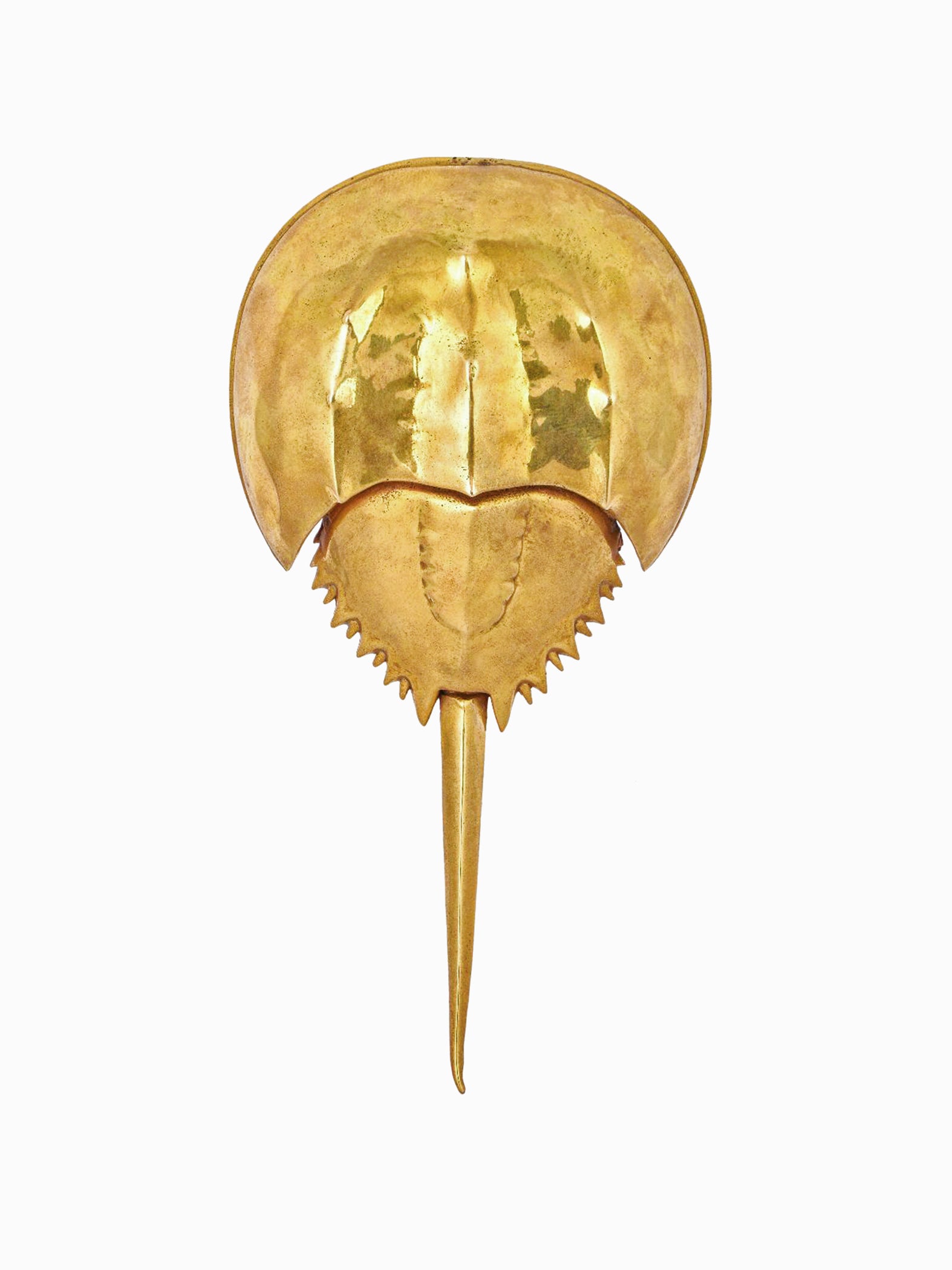 Horseshoe Crab Bottle Opener by AnanTaya