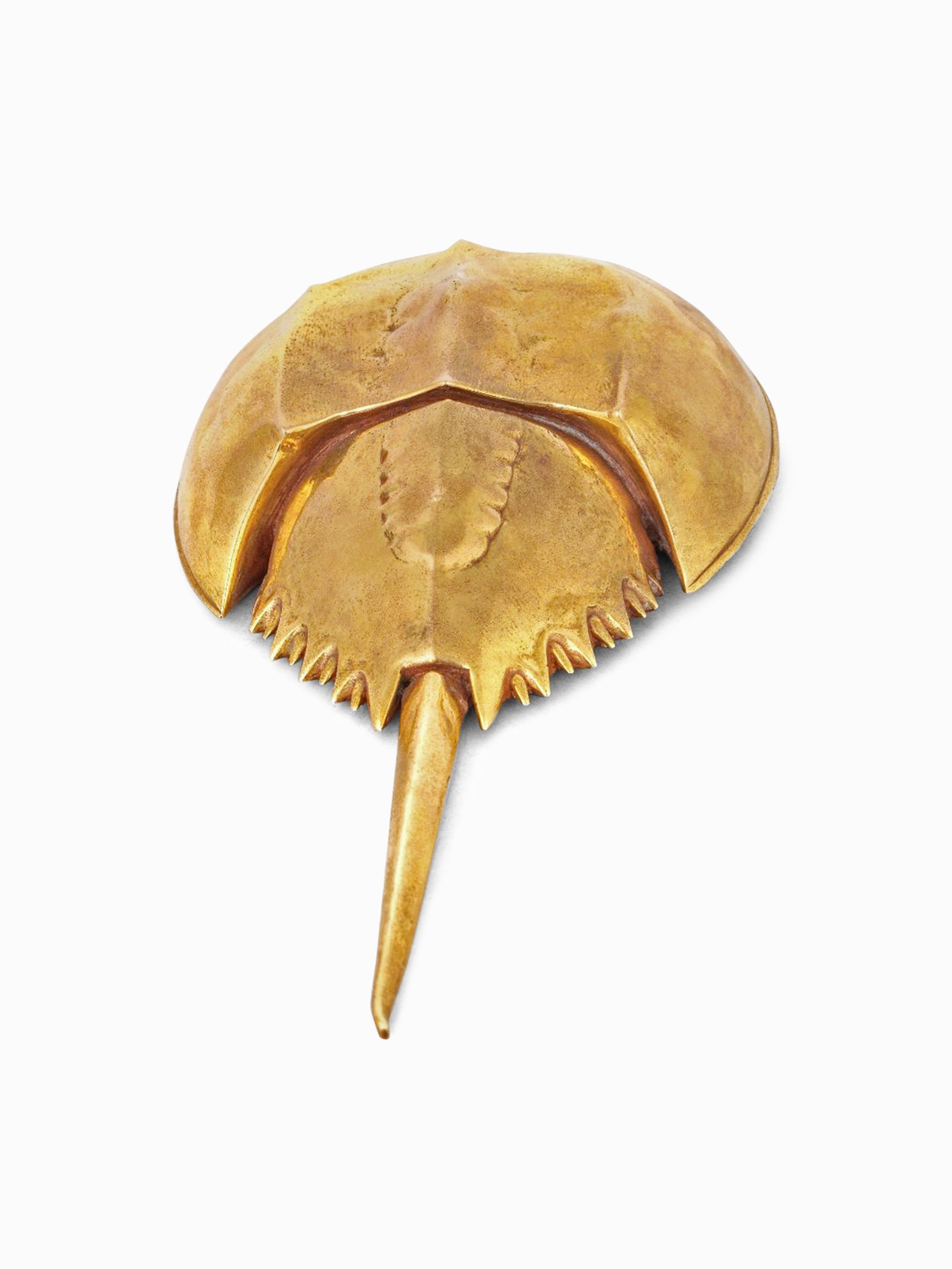 Horseshoe Crab Bottle Opener by AnanTaya