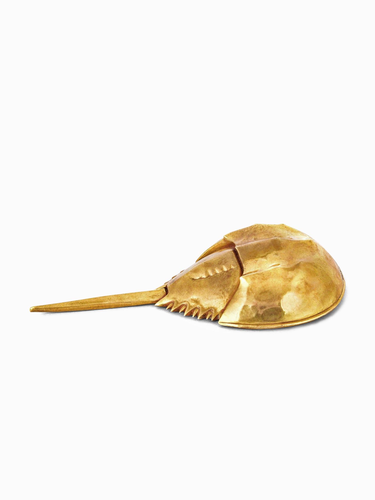 Horseshoe Crab Bottle Opener by AnanTaya