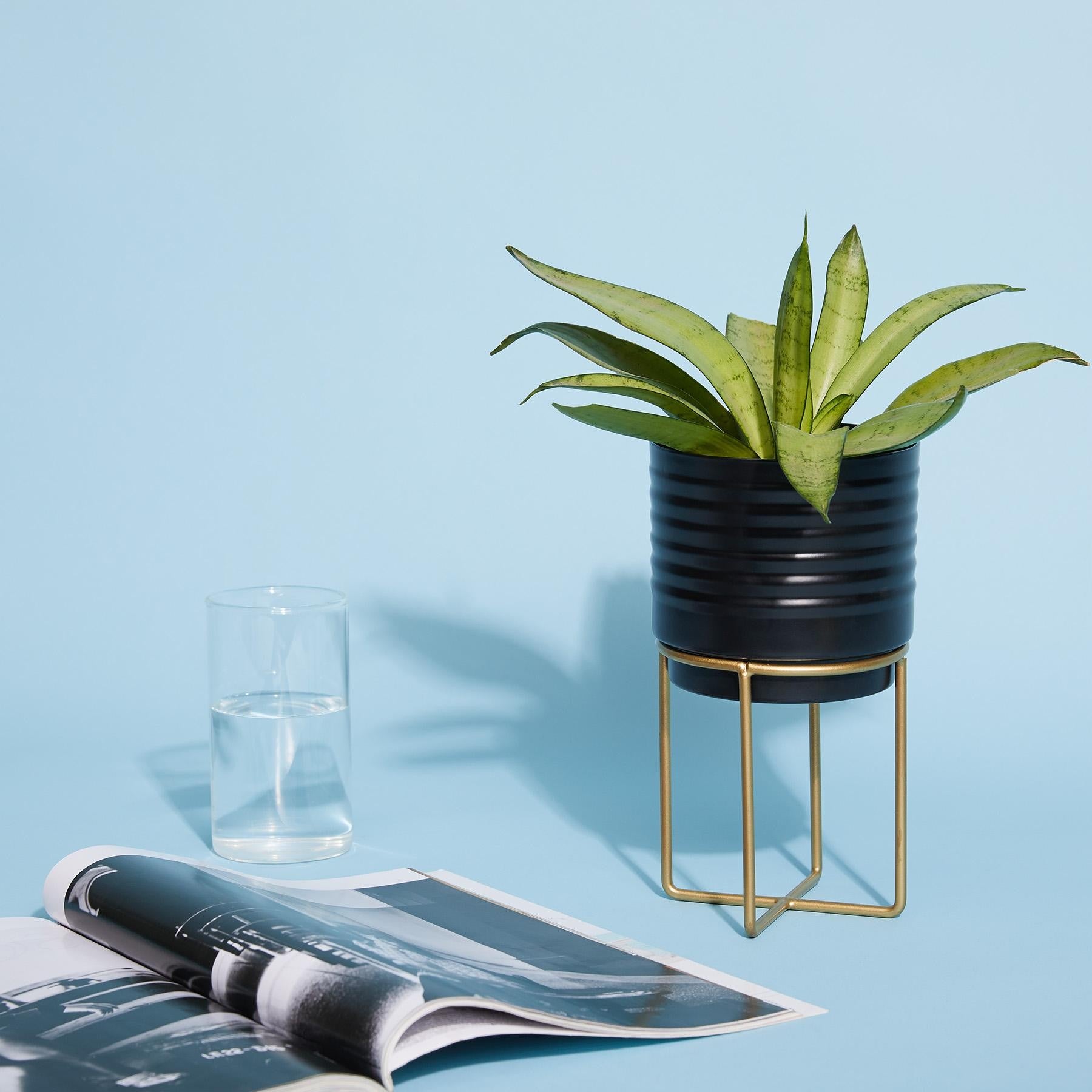 Black & Gold Minimal Planter