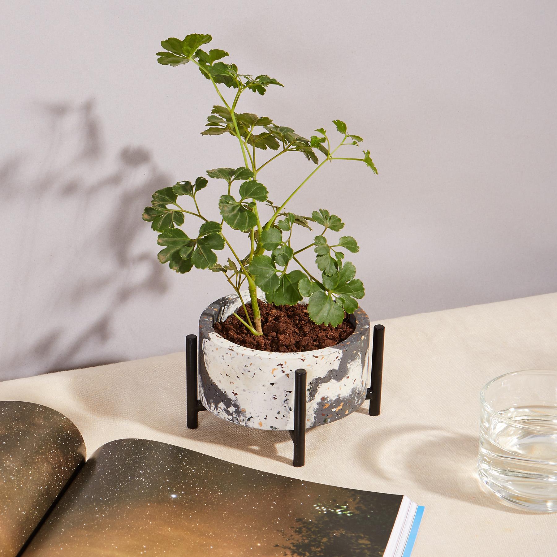 Charcoal & White Terrazzo Planter